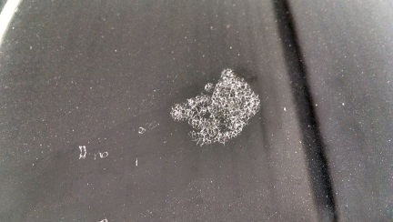 2014-06-26 15.23.56.jpg