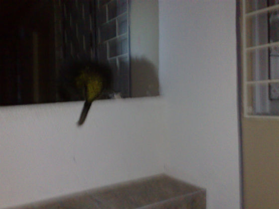 071120124285 foto.jpg