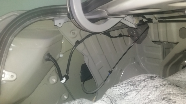 Onde deveria estar o chicote!